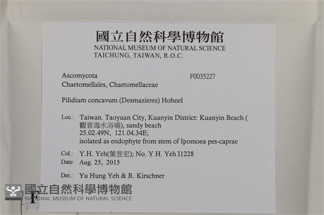 登錄號:F0035227藏品圖，第2張