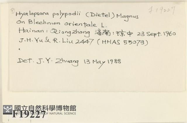 登錄號:F0019227藏品圖，第2張