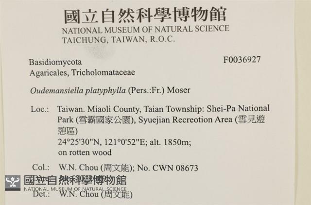 登錄號:F0036927藏品圖，第2張