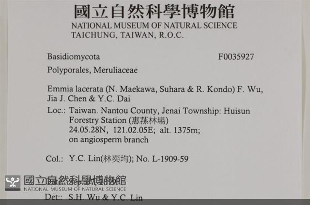 登錄號:F0035927藏品圖，第2張