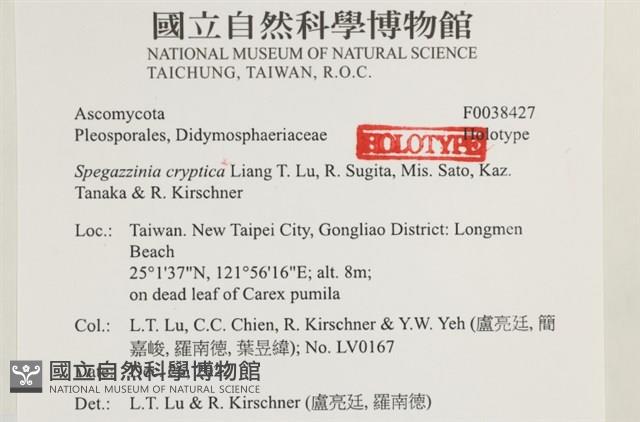 登錄號:F0038427藏品圖，第2張