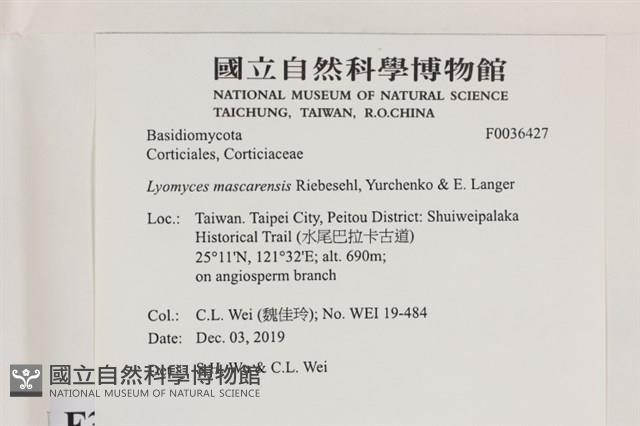 登錄號:F0036427藏品圖，第2張