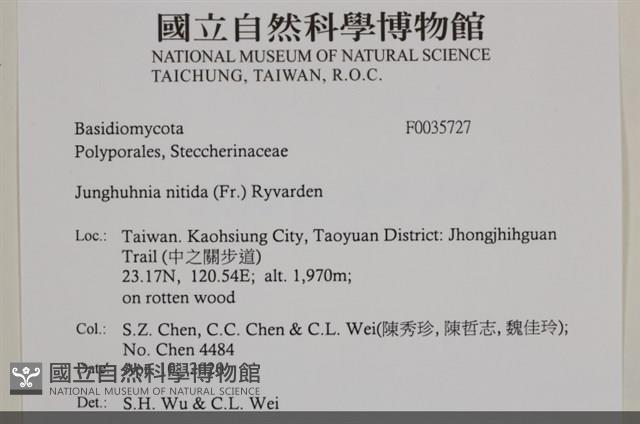 登錄號:F0035727藏品圖，第2張