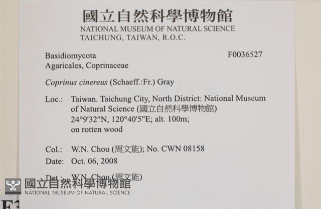 登錄號:F0036527藏品圖，第2張