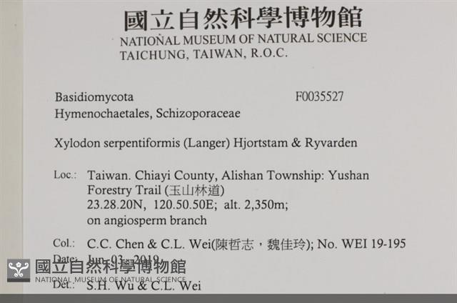 登錄號:F0035527藏品圖，第2張
