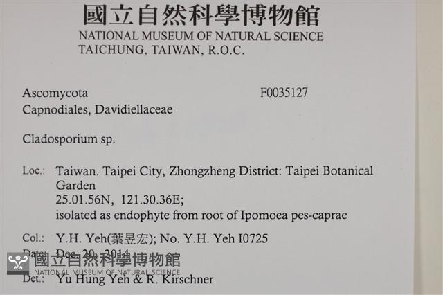 登錄號:F0035127藏品圖，第2張