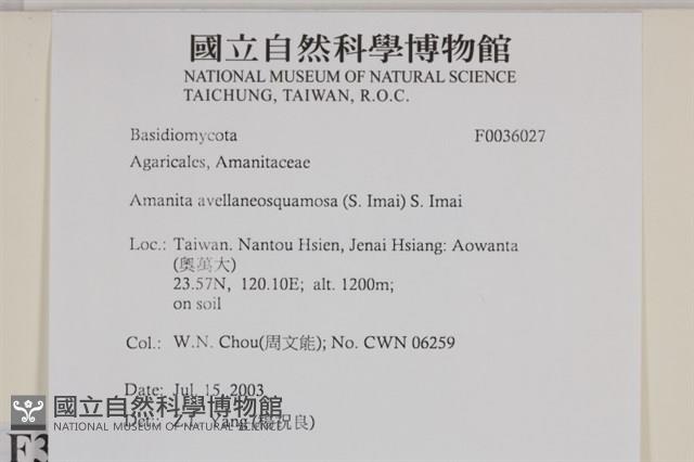 登錄號:F0036027藏品圖，第2張