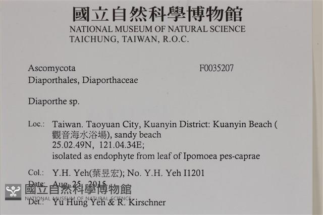 登錄號:F0035207藏品圖，第2張