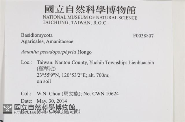 登錄號:F0038807藏品圖，第2張