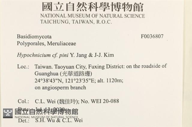登錄號:F0036807藏品圖，第2張