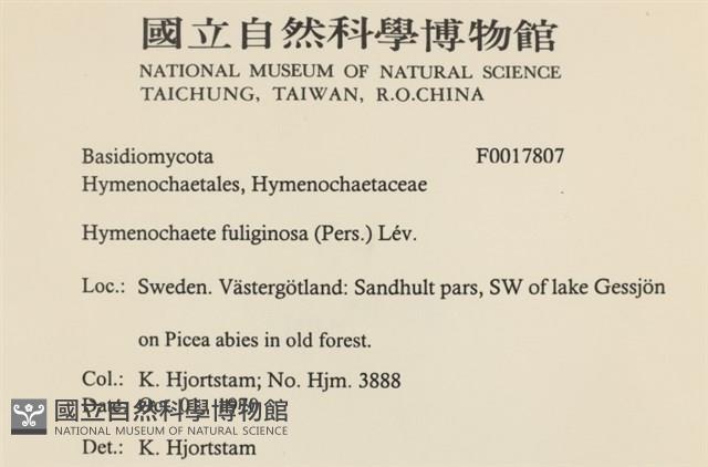 登錄號:F0017807藏品圖，第2張