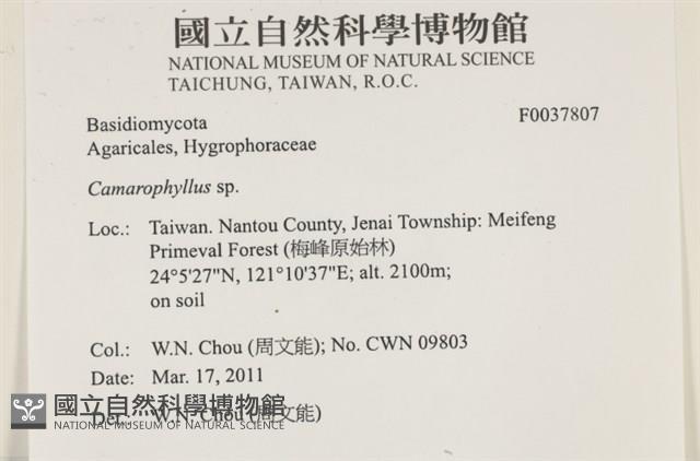 登錄號:F0037807藏品圖，第2張