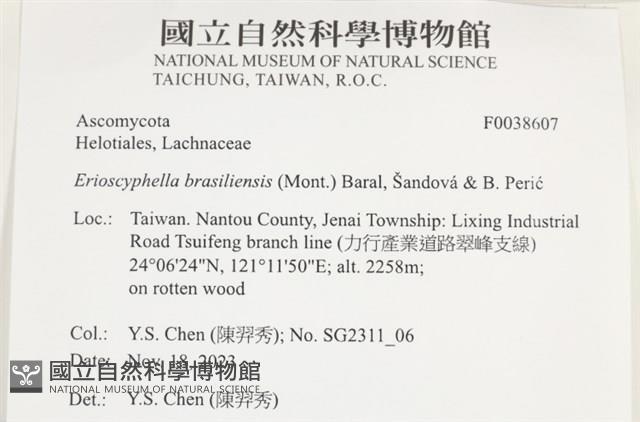 登錄號:F0038607藏品圖，第2張