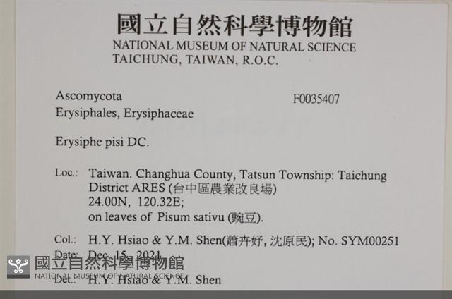 登錄號:F0035407藏品圖，第2張