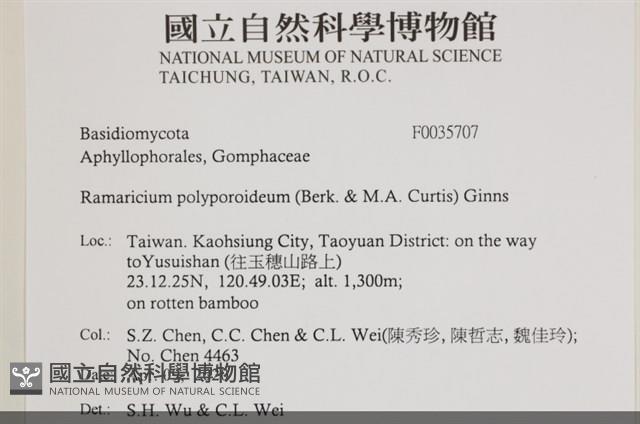 登錄號:F0035707藏品圖，第2張
