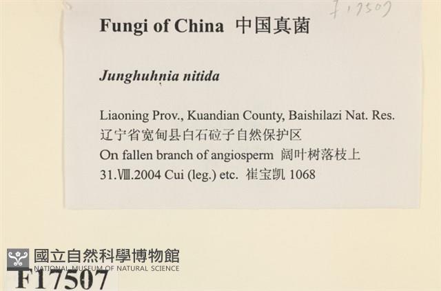 登錄號:F0017507藏品圖，第2張