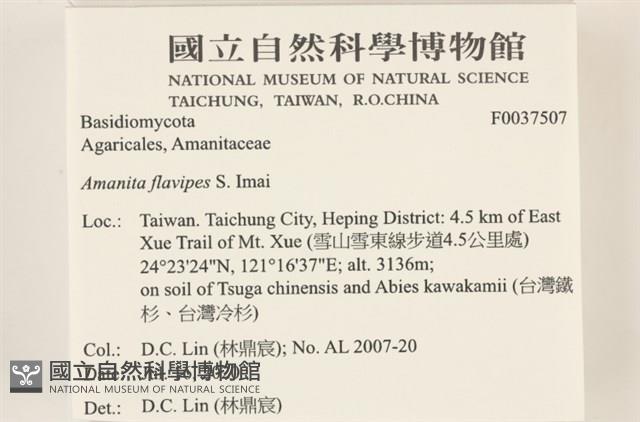 登錄號:F0037507藏品圖，第2張