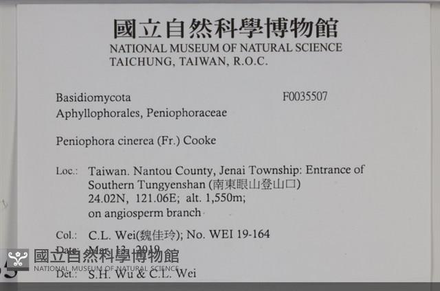 登錄號:F0035507藏品圖，第2張