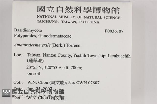 Accession Number:F0036107 Collection Image, Figure 2, Total 3 Figures