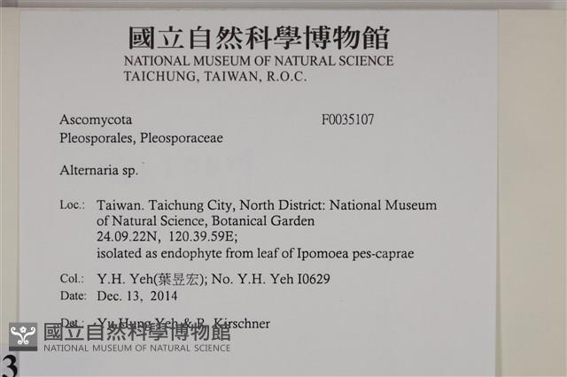 登錄號:F0035107藏品圖，第2張