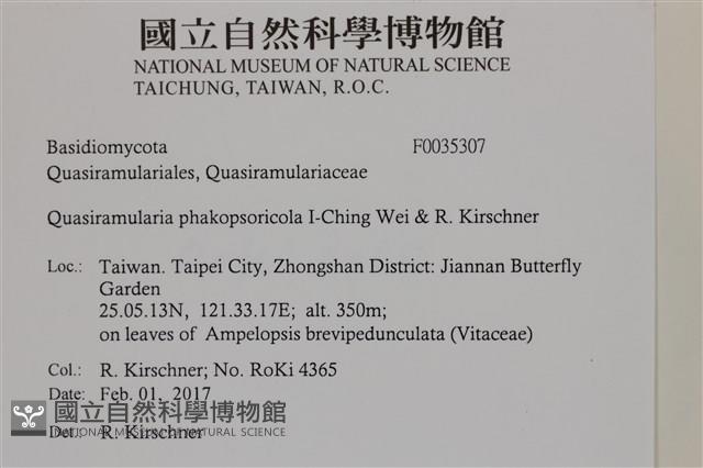 登錄號:F0035307藏品圖，第2張