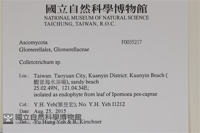 登錄號:F0035217藏品圖，第2張