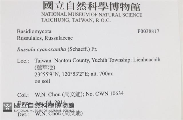 登錄號:F0038817藏品圖，第2張