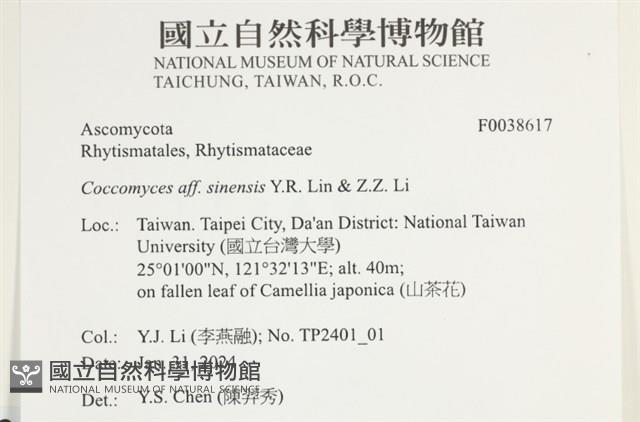 登錄號:F0038617藏品圖，第2張