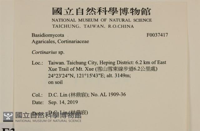 登錄號:F0037417藏品圖，第2張