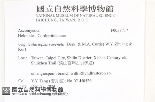 登錄號:F0038717藏品圖，第2張