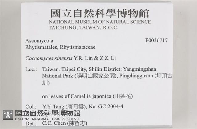 登錄號:F0036717藏品圖，第2張