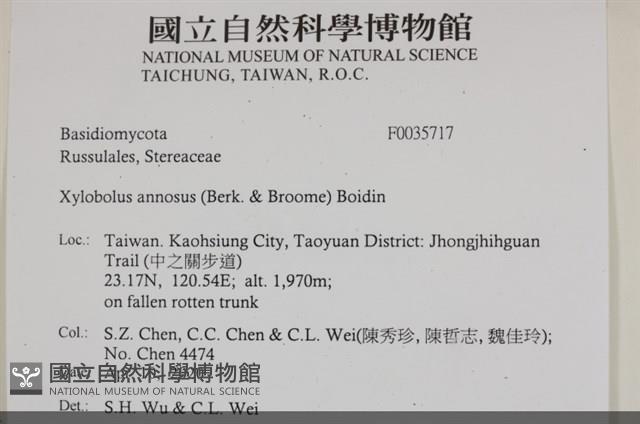 登錄號:F0035717藏品圖，第2張