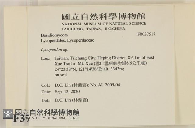 登錄號:F0037517藏品圖，第2張