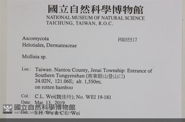登錄號:F0035517藏品圖，第2張
