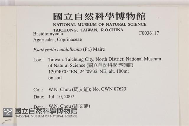 登錄號:F0036117藏品圖，第2張