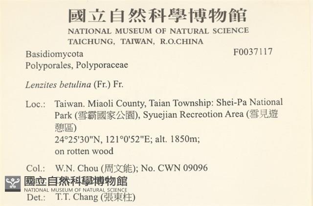 登錄號:F0037117藏品圖，第2張