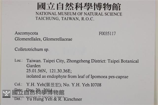登錄號:F0035117藏品圖，第2張