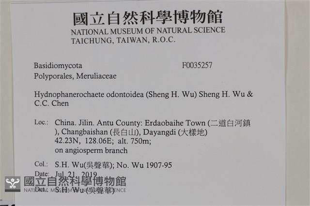 登錄號:F0035257藏品圖，第2張