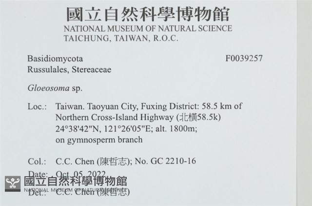 登錄號:F0039257藏品圖，第2張