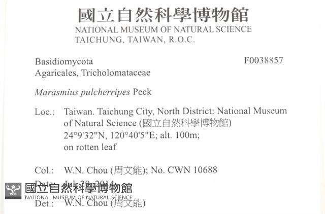 登錄號:F0038857藏品圖，第2張