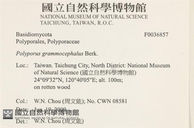 登錄號:F0036857藏品圖，第2張