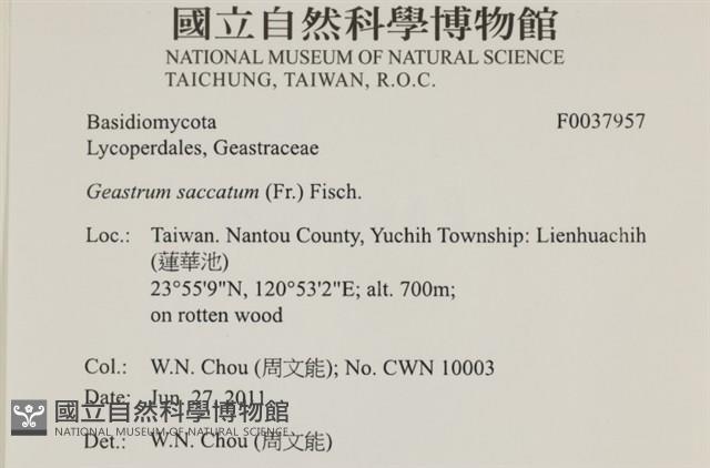 登錄號:F0037957藏品圖，第2張