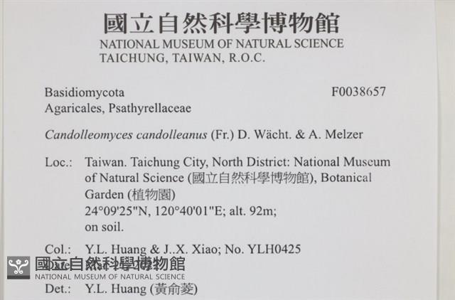 登錄號:F0038657藏品圖，第2張