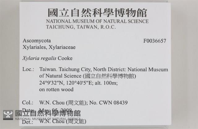 登錄號:F0036657藏品圖，第2張
