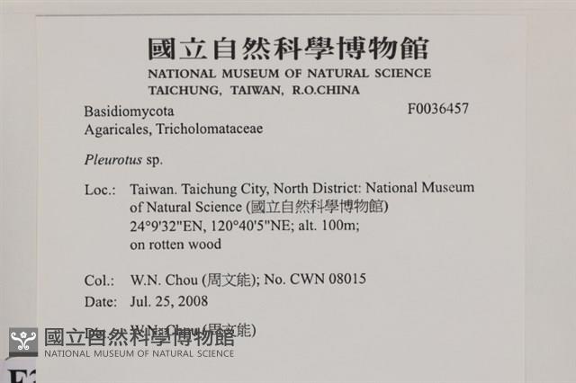 登錄號:F0036457藏品圖，第2張