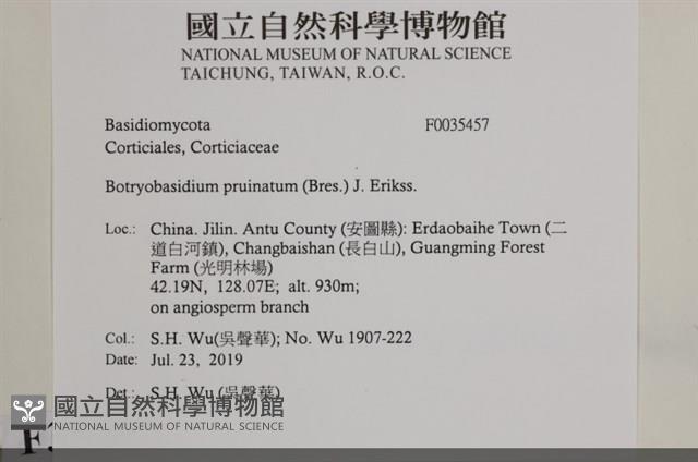 登錄號:F0035457藏品圖，第2張