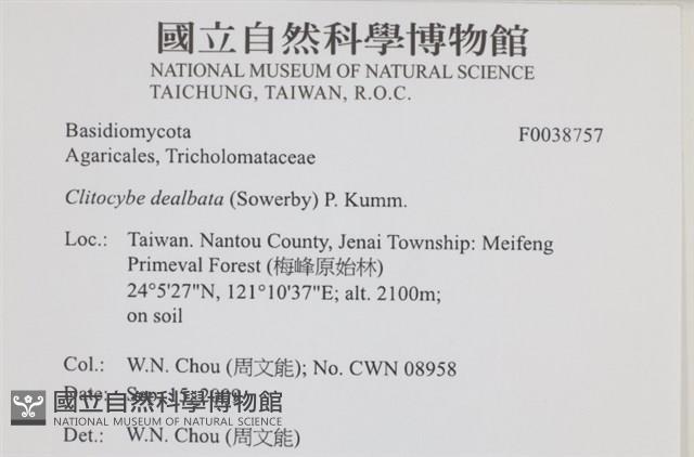 登錄號:F0038757藏品圖，第2張