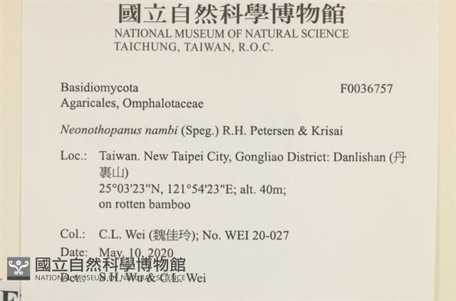 登錄號:F0036757藏品圖，第2張