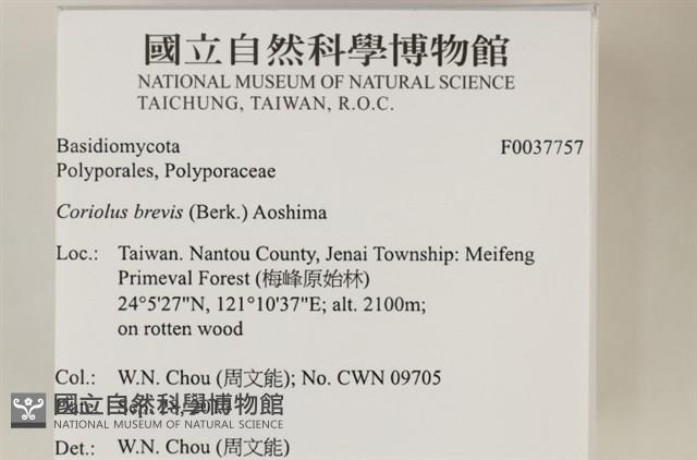 登錄號:F0037757藏品圖，第2張