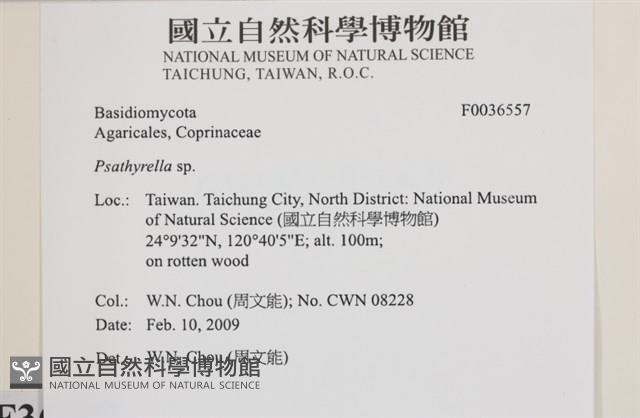 登錄號:F0036557藏品圖，第2張